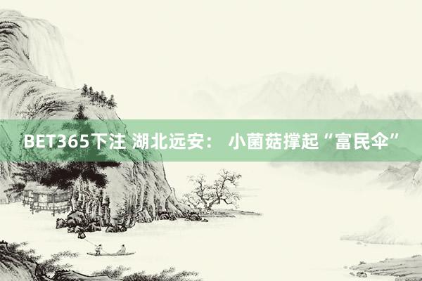 BET365下注 湖北远安： 小菌菇撑起“富民伞”