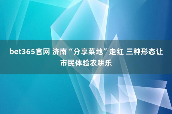 bet365官网 济南“分享菜地”走红 三种形态让市民体验农耕乐