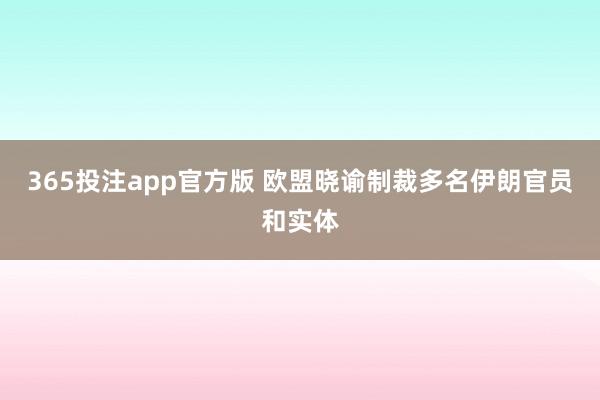 365投注app官方版 欧盟晓谕制裁多名伊朗官员和实体
