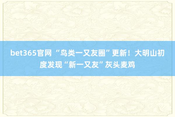 bet365官网 “鸟类一又友圈”更新！大明山初度发现“新一又友”灰头麦鸡