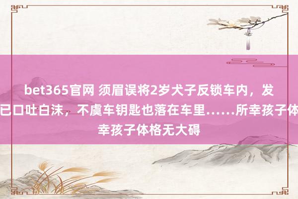 bet365官网 须眉误将2岁犬子反锁车内，发当前孩子已口吐白沫，不虞车钥匙也落在车里……所幸孩子体格无大碍