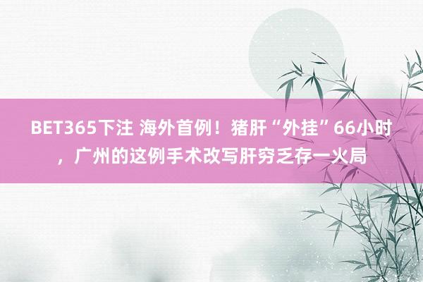 BET365下注 海外首例！猪肝“外挂”66小时，广州的这例手术改写肝穷乏存一火局