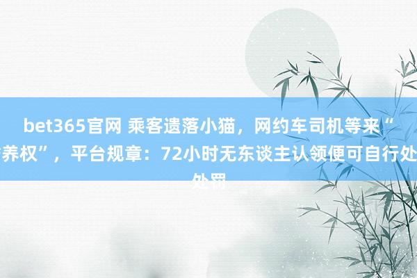 bet365官网 乘客遗落小猫，网约车司机等来“赡养权”，平台规章：72小时无东谈主认领便可自行处罚