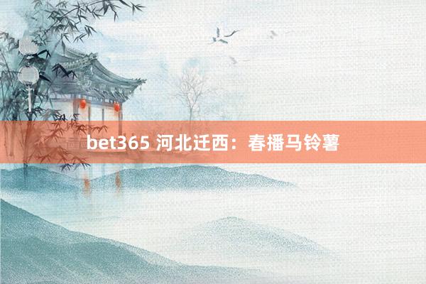 bet365 河北迁西：春播马铃薯