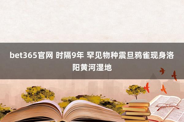 bet365官网 时隔9年 罕见物种震旦鸦雀现身洛阳黄河湿地