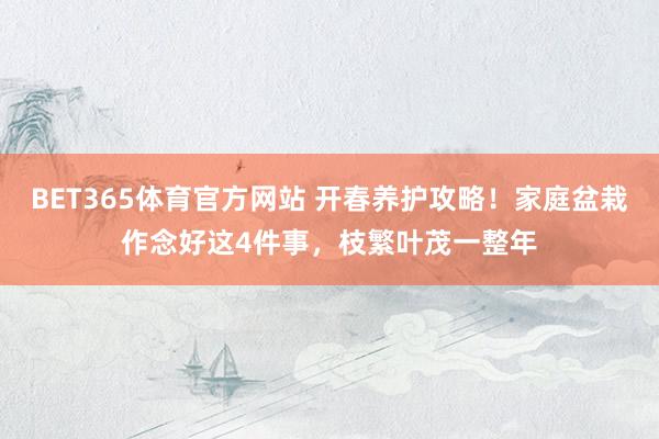 BET365体育官方网站 开春养护攻略！家庭盆栽作念好这4件事，枝繁叶茂一整年