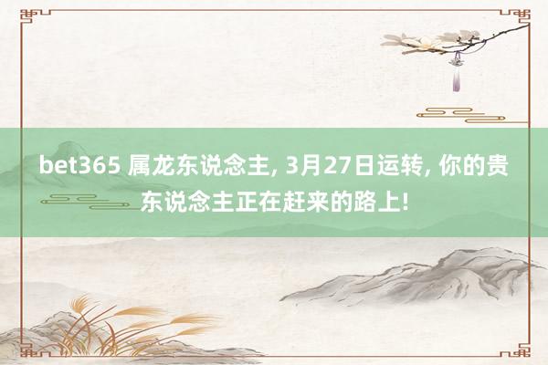 bet365 属龙东说念主， 3月27日运转， 你的贵东说念主正在赶来的路上!
