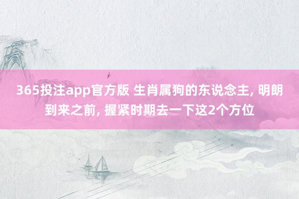 365投注app官方版 生肖属狗的东说念主， 明朗到来之前， 握紧时期去一下这2个方位