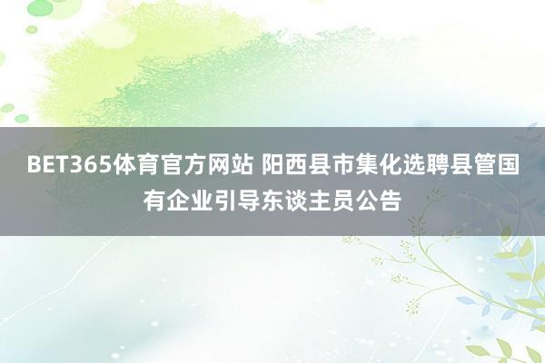 BET365体育官方网站 阳西县市集化选聘县管国有企业引导东谈主员公告