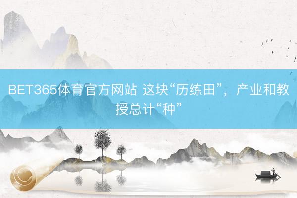 BET365体育官方网站 这块“历练田”，产业和教授总计“种”