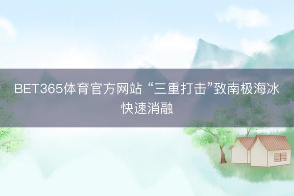 BET365体育官方网站 “三重打击”致南极海冰快速消融