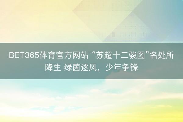 BET365体育官方网站 “苏超十二骏图”名处所降生 绿茵逐风，少年争锋