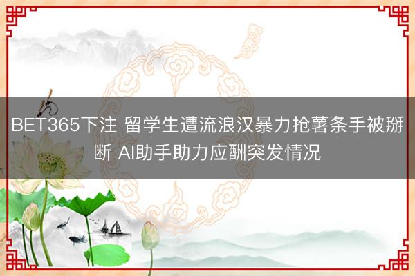BET365下注 留学生遭流浪汉暴力抢薯条手被掰断 AI助手助力应酬突发情况