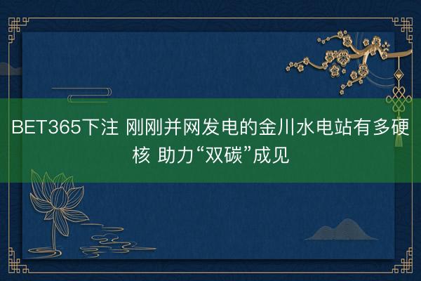 BET365下注 刚刚并网发电的金川水电站有多硬核 助力“双碳”成见