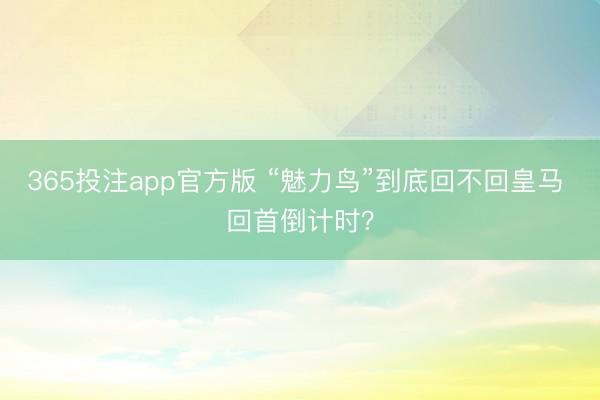 365投注app官方版 “魅力鸟”到底回不回皇马 回首倒计时？