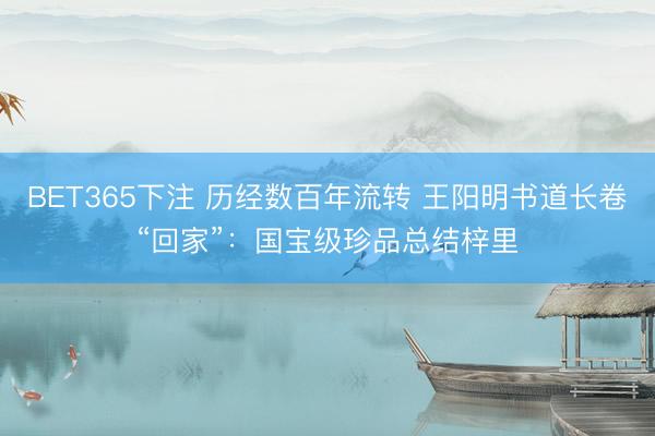 BET365下注 历经数百年流转 王阳明书道长卷“回家”：国宝级珍品总结梓里