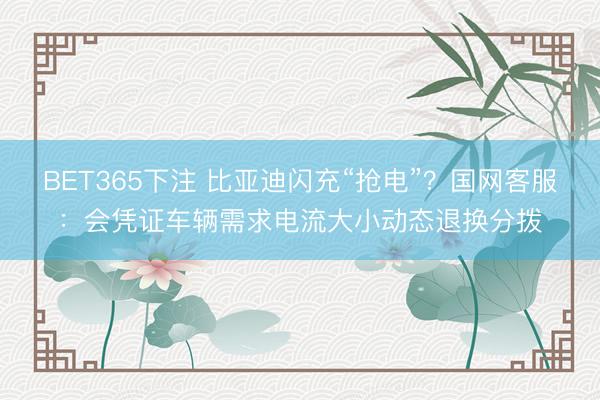 BET365下注 比亚迪闪充“抢电”？国网客服：会凭证车辆需求电流大小动态退换分拨