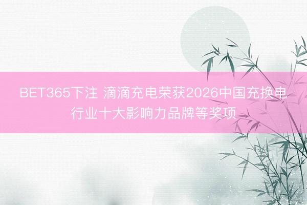 BET365下注 滴滴充电荣获2026中国充换电行业十大影响力品牌等奖项