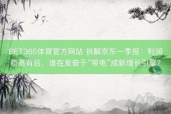 BET365体育官方网站 拆解京东一季报：利润新高背后，谁在发奋于“带电”成新增长引擎？