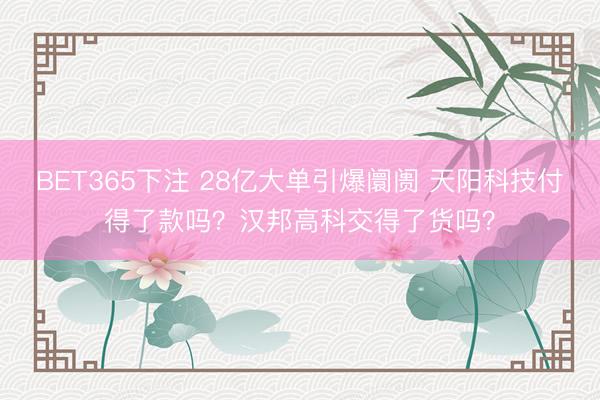 BET365下注 28亿大单引爆阛阓 天阳科技付得了款吗？汉邦高科交得了货吗？