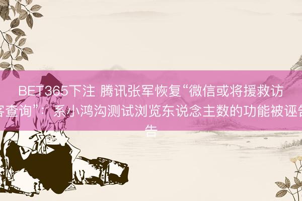 BET365下注 腾讯张军恢复“微信或将援救访客查询”：系小鸿沟测试浏览东说念主数的功能被诬告