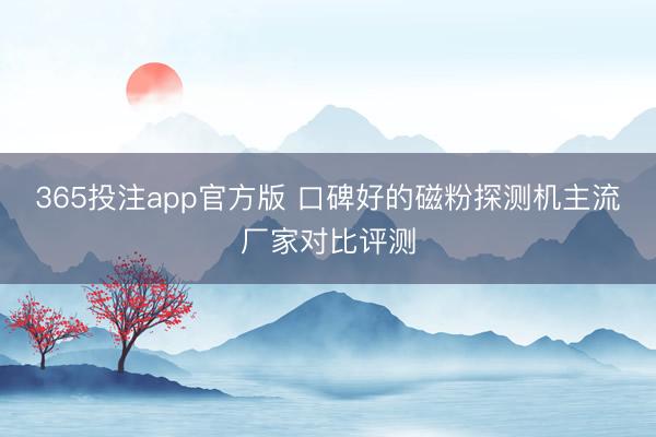 365投注app官方版 口碑好的磁粉探测机主流厂家对比评测