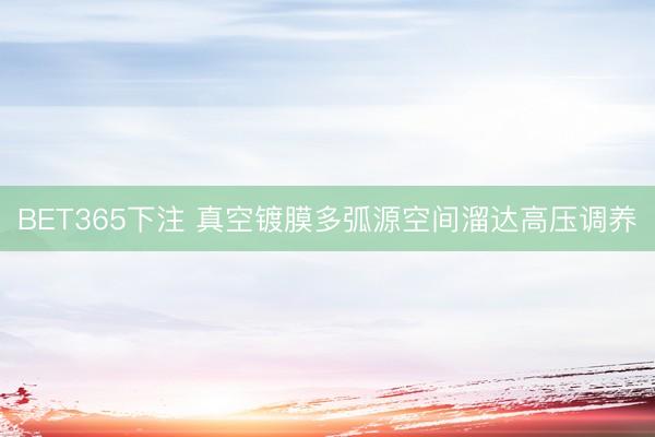 BET365下注 真空镀膜多弧源空间溜达高压调养