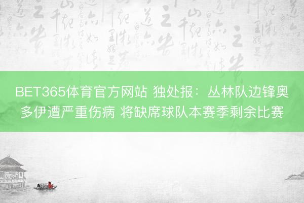 BET365体育官方网站 独处报：丛林队边锋奥多伊遭严重伤病 将缺席球队本赛季剩余比赛