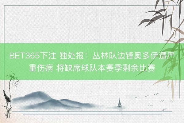 BET365下注 独处报：丛林队边锋奥多伊遭严重伤病 将缺席球队本赛季剩余比赛
