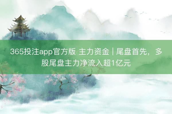 365投注app官方版 主力资金 | 尾盘首先，多股尾盘主力净流入超1亿元