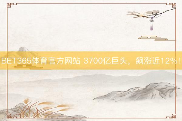 BET365体育官方网站 3700亿巨头，飙涨近12%！