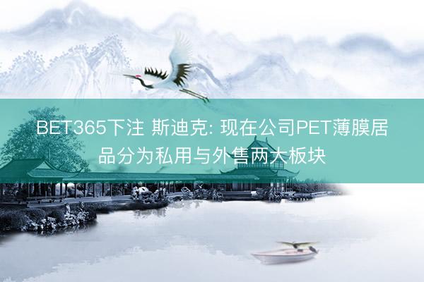 BET365下注 斯迪克: 现在公司PET薄膜居品分为私用与外售两大板块