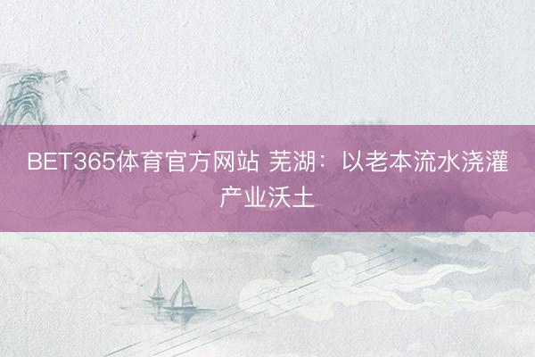 BET365体育官方网站 芜湖：以老本流水浇灌产业沃土