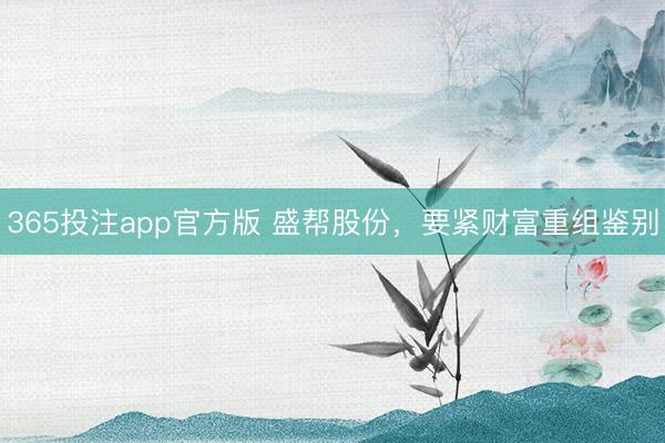 365投注app官方版 盛帮股份，要紧财富重组鉴别