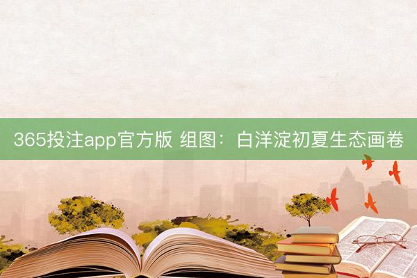 365投注app官方版 组图：白洋淀初夏生态画卷