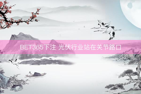 BET365下注 光伏行业站在关节路口