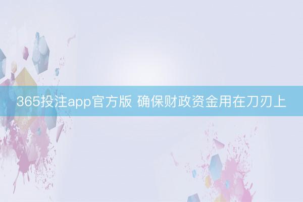 365投注app官方版 确保财政资金用在刀刃上