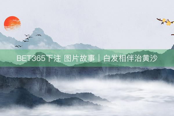 BET365下注 图片故事｜白发相伴治黄沙