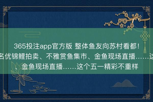 365投注app官方版 整体鱼友向苏村看都！“功夫农品”讲堂、名优锦鲤拍卖、不雅赏鱼集市、金鱼现场直播……这个五一精彩不重样