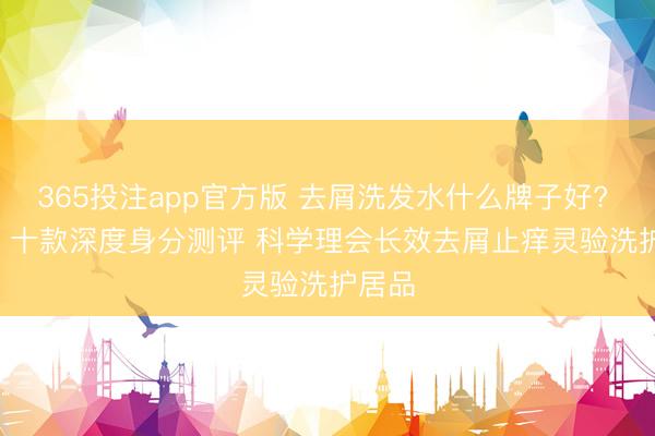 365投注app官方版 去屑洗发水什么牌子好? 2026 十款深度身分测评 科学理会长效去屑止痒灵验洗护居品