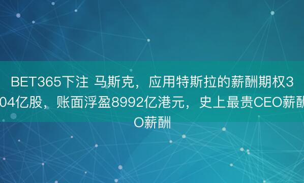 BET365下注 马斯克，应用特斯拉的薪酬期权3.04亿股，账面浮盈8992亿港元，史上最贵CEO薪酬